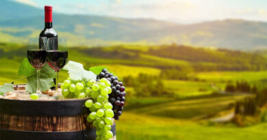 First visit to a winery? 12 great questions to ask