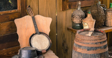 Exciting American Cowboy Themed Party Ideas