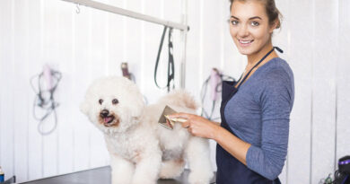 Thinking of Starting a Pet Grooming Business? Here are 3 Things You Need to Know