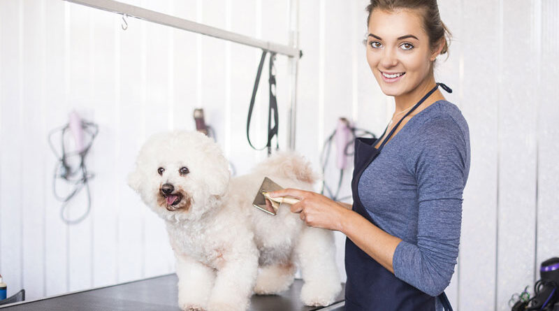 Thinking of Starting a Pet Grooming Business? Here are 3 Things You Need to Know