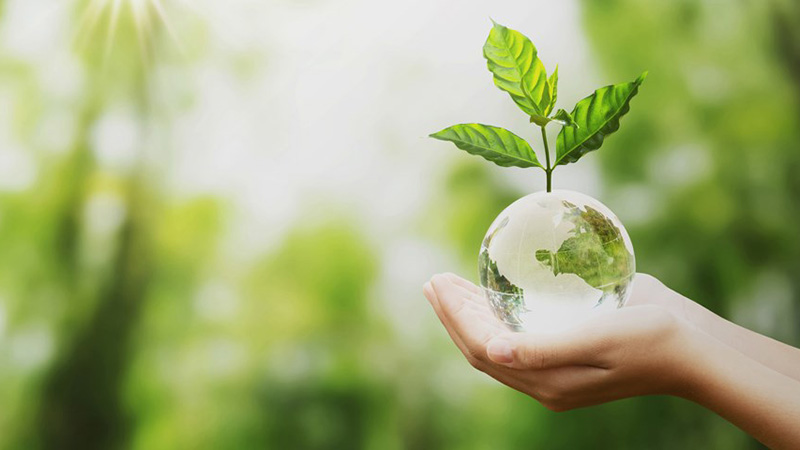 Understanding Why Eco-Experts Like Victoria Gerrard La Crosse WI Are Influencing Greener Lifestyles