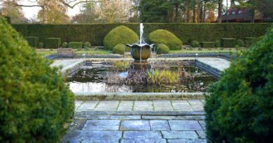 Smart Ways to Incorporate a Fountain in Your Front Yard