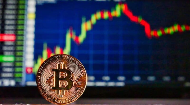BitiCodes auto trading software - what makes it so special?
