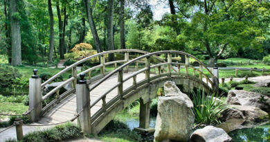 Want a More Serene Garden? Here's How