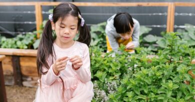 Is Cerebral Palsy Progressive: A Critical Look At The Language We Use