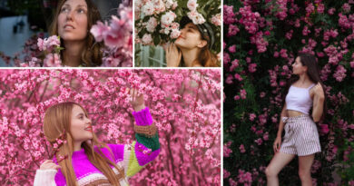 25 Pink Flowering Plants to Plant for Year Round Romance in Your Garden