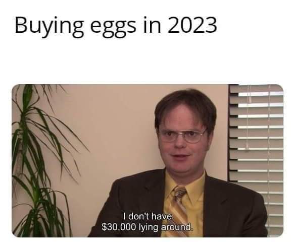 Egg Price Meme