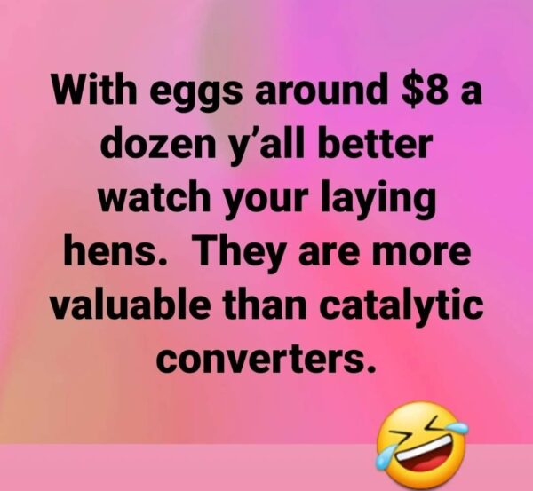 Egg Price Meme
