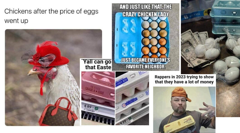 15 Hilarious Egg Prices Memes