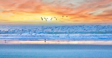 Five Things to Do on a Family Vacation in Myrtle Beach