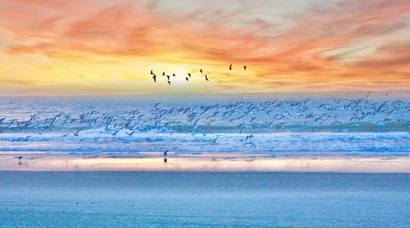 Five Things to Do on a Family Vacation in Myrtle Beach