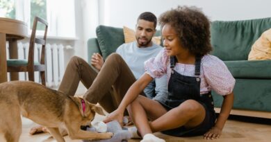 5 Fun and Creative Indoor Activities To Do With Your Energetic Dog