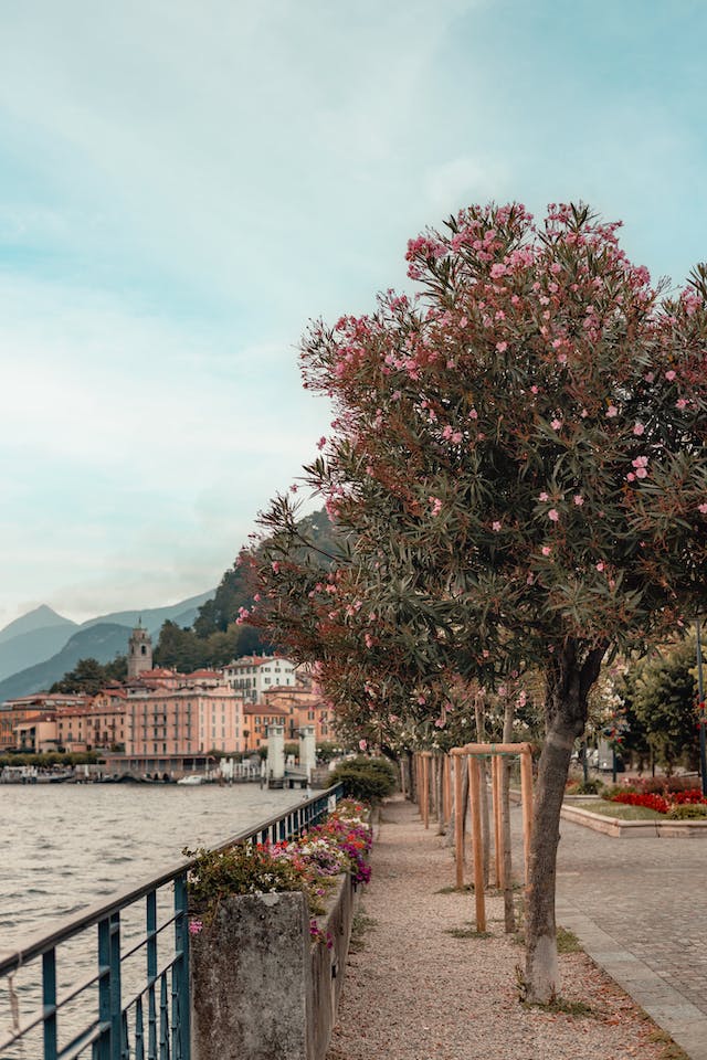 Bellagio - Pearl of the Lake