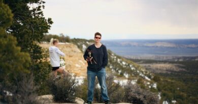 Why Taking Your Pets with You on Vacation Makes Sense