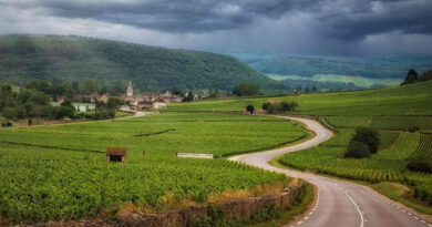 Umbria Road Trip: A Journey through Italy's Green Heart