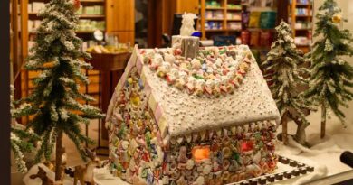 The Great Gingerbread House Debate: Should You Actually Eat Them?